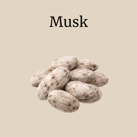 Musk
